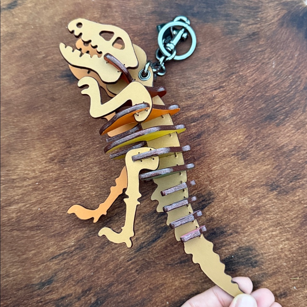 Coach REXY RAINBOW LARGE CHARM